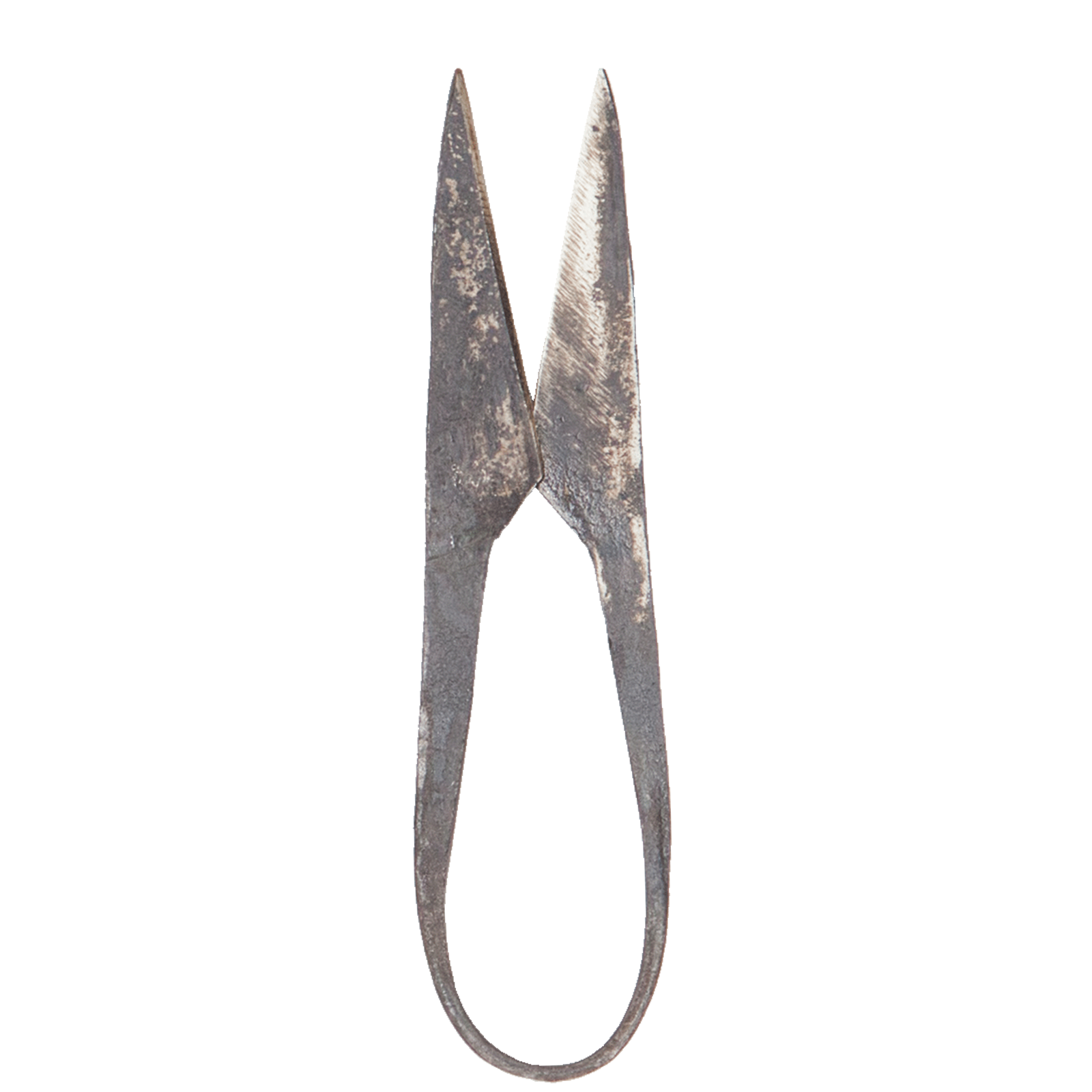 AUTHENTIC BLADES - Wholesale Scissors and Shears - AUTHENTIC BLADES MO, herb scissors, cutting length 4-8cm made of carbon steel0