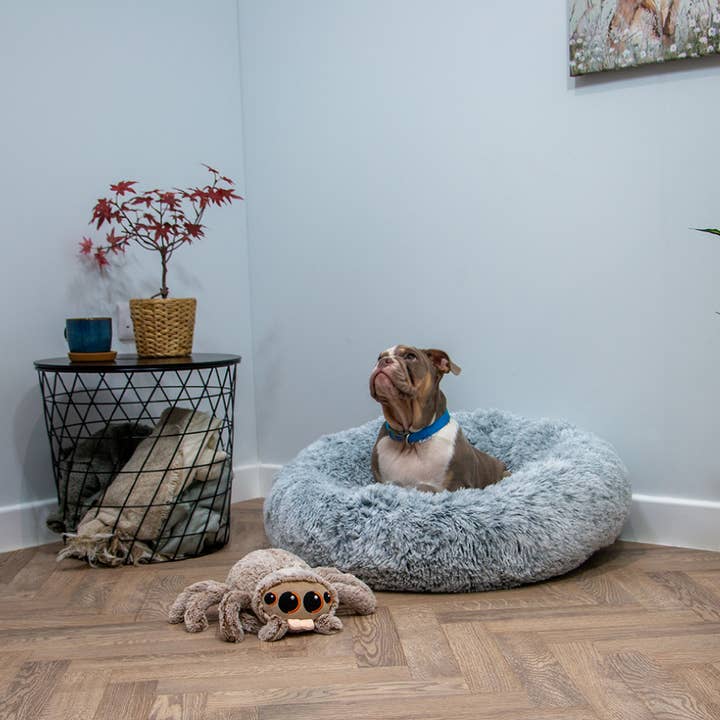 Ancol Pet Products Ltd – wholesale Pet plush toy – Dog – Play Time For Dogs - Soft Cuddle Sid The Spider 4