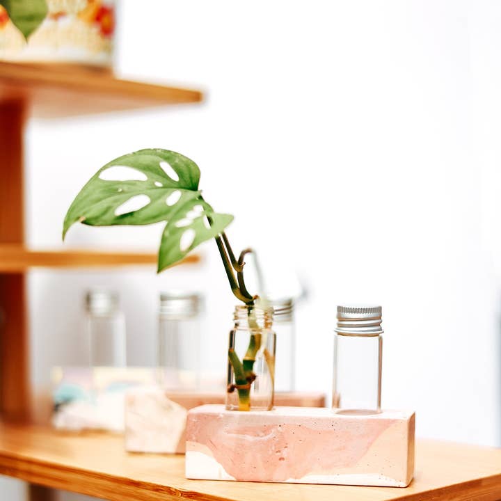 The Plant Committee - Wholesale Vase - 2 Vial Propagation Station Flower Bud Vase4