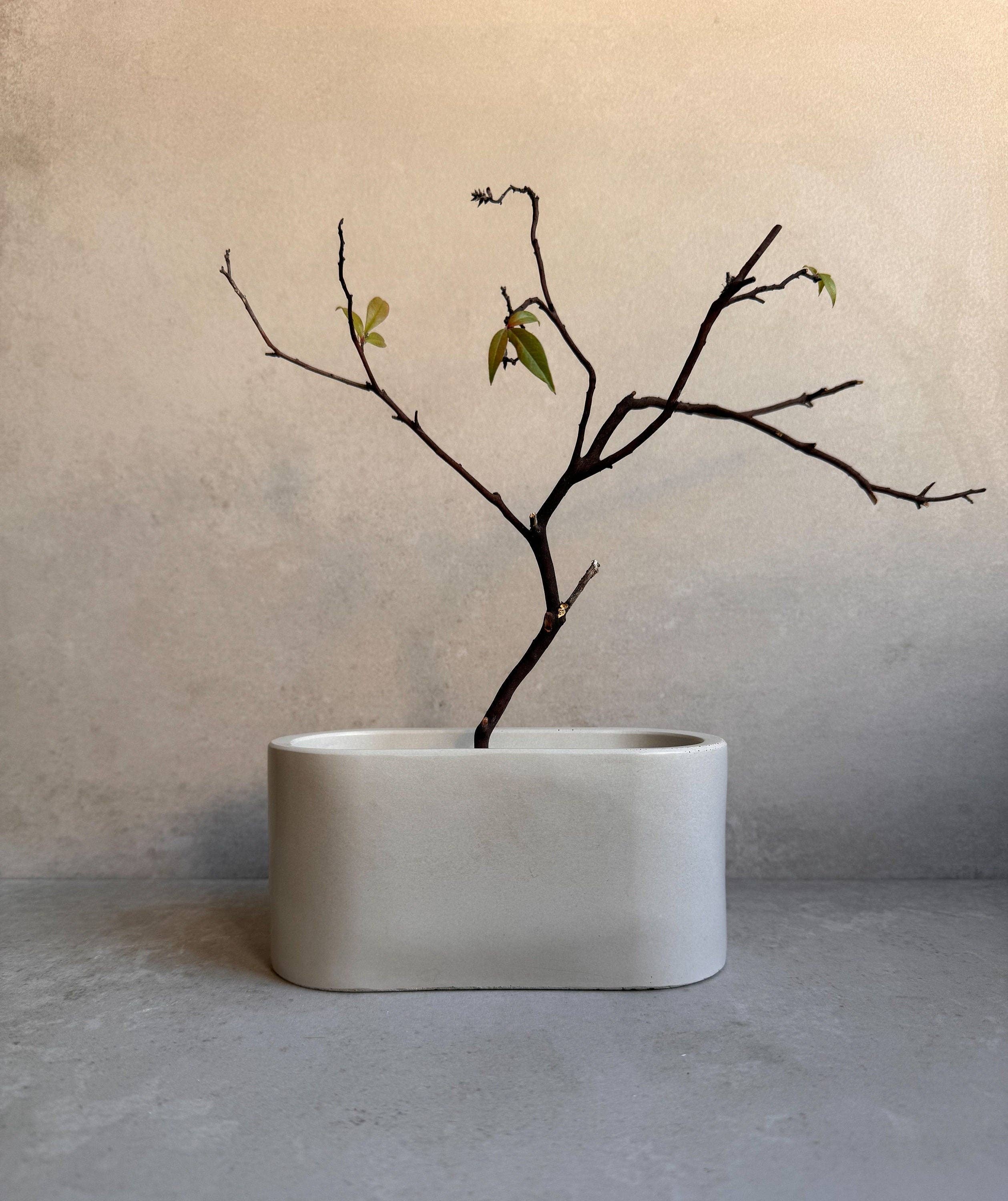 Minimal Loot Design – Engroshandel Plantekrukke – Oval betonurtepotte, dekorativ cementpotte og opbevaringstrugle til bord og badeværelse7