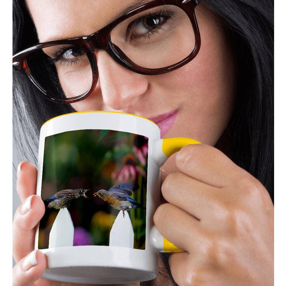 3dRose – wholesale Coffee mug – 3dRose, Eastern Bluebird female feeding fledgling on picket fence near flowers, Mug1