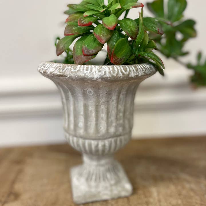 Vagabond Vintage - Wholesale Plant Pot - CEMENT URN PLANTER
