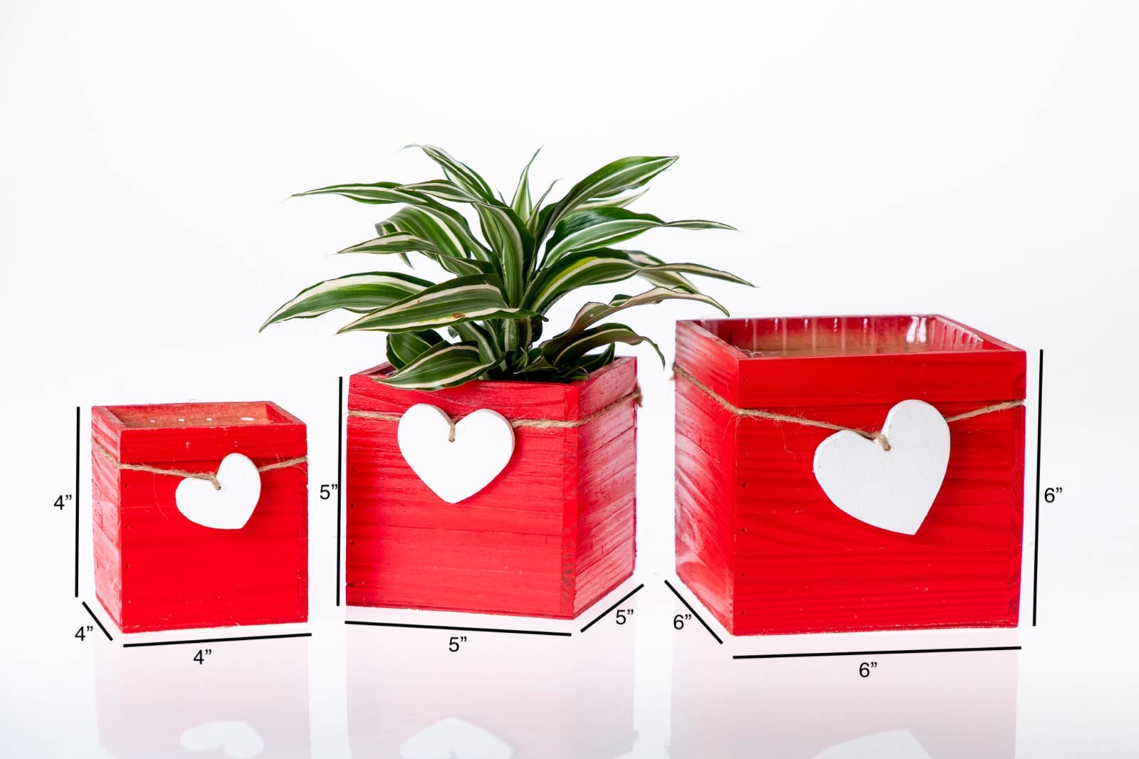 UNIMIX FLORAL - Vente Jardinière - Jardinières en bois/Conteneur - 3 couleurs assorties Cœur Saint-Valentin&Mday8