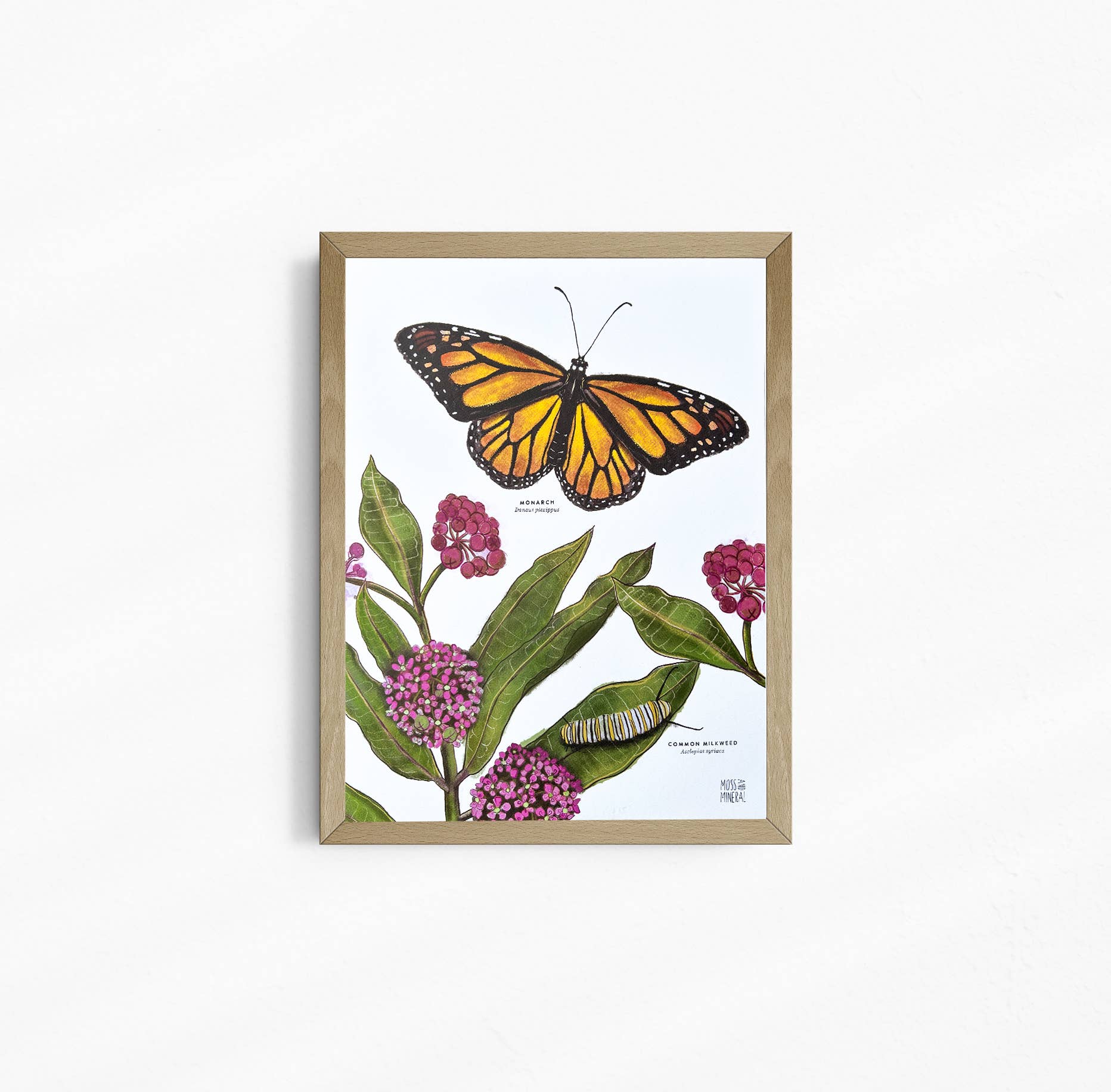Moss and Mineral - Wholesale Art Print - Monarch and Milkweed Print, Botanical Illustration 0