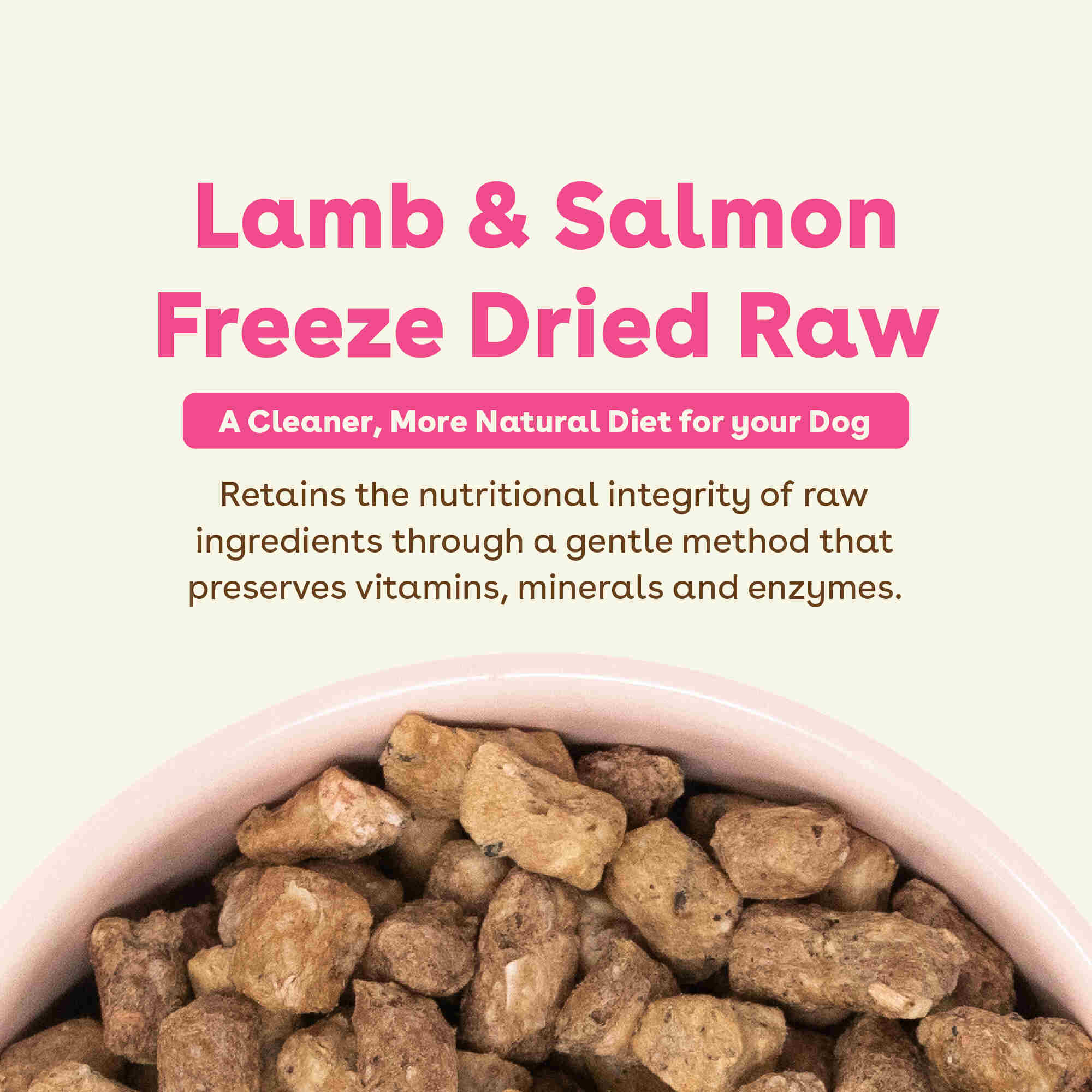 Pupford - Wholesale Pet Food - Dog - Freeze-Dried Raw Dog Food - Salmon & Lamb Recipe8