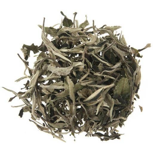 Silver Moonlight White Tea - Low Caffeine for wholesale by Tea and Coffee Exchange
