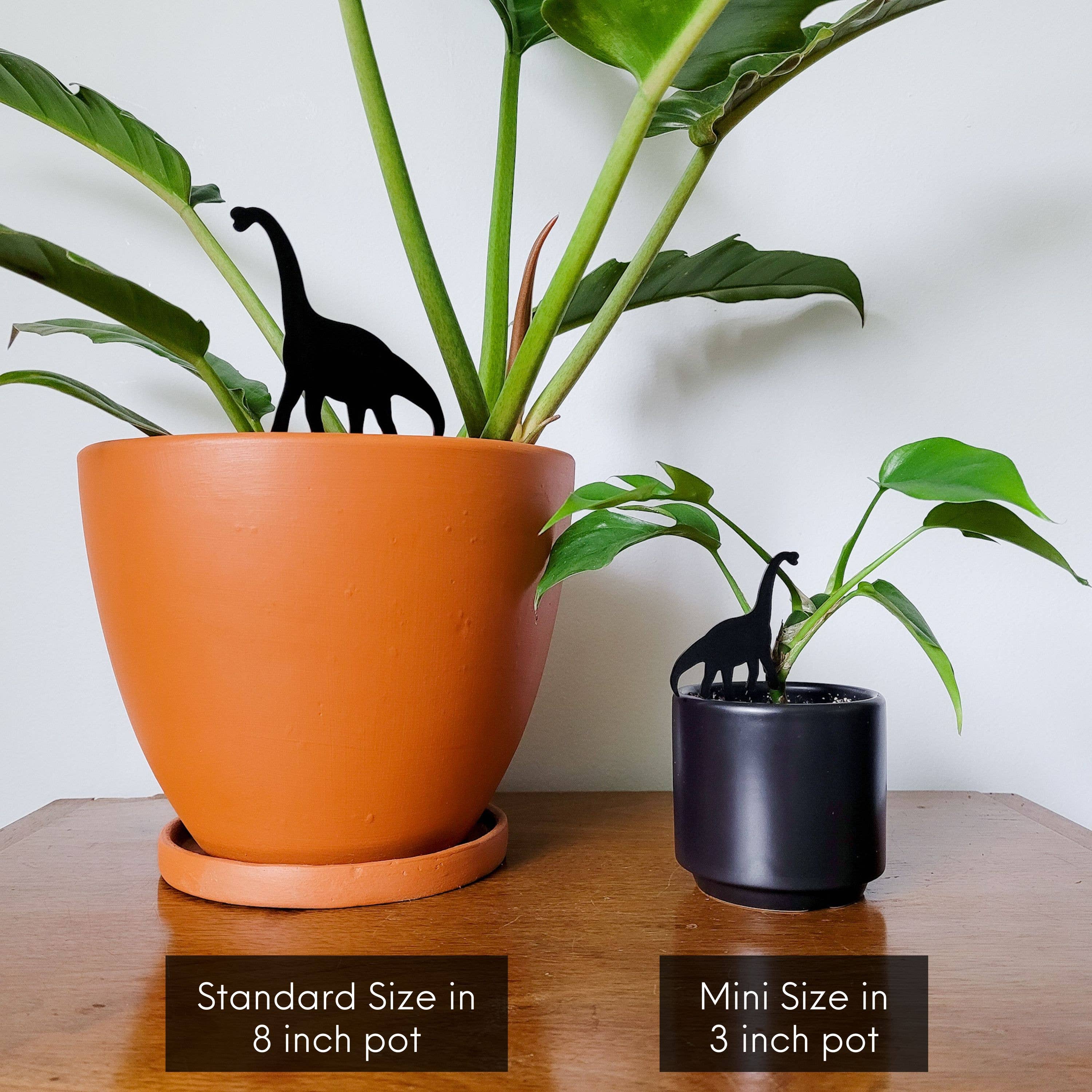 Leaf & Node - Wholesale Plant Pot - Dinosaur Indoor Plant Accessory Stake - Brachiosaurus4
