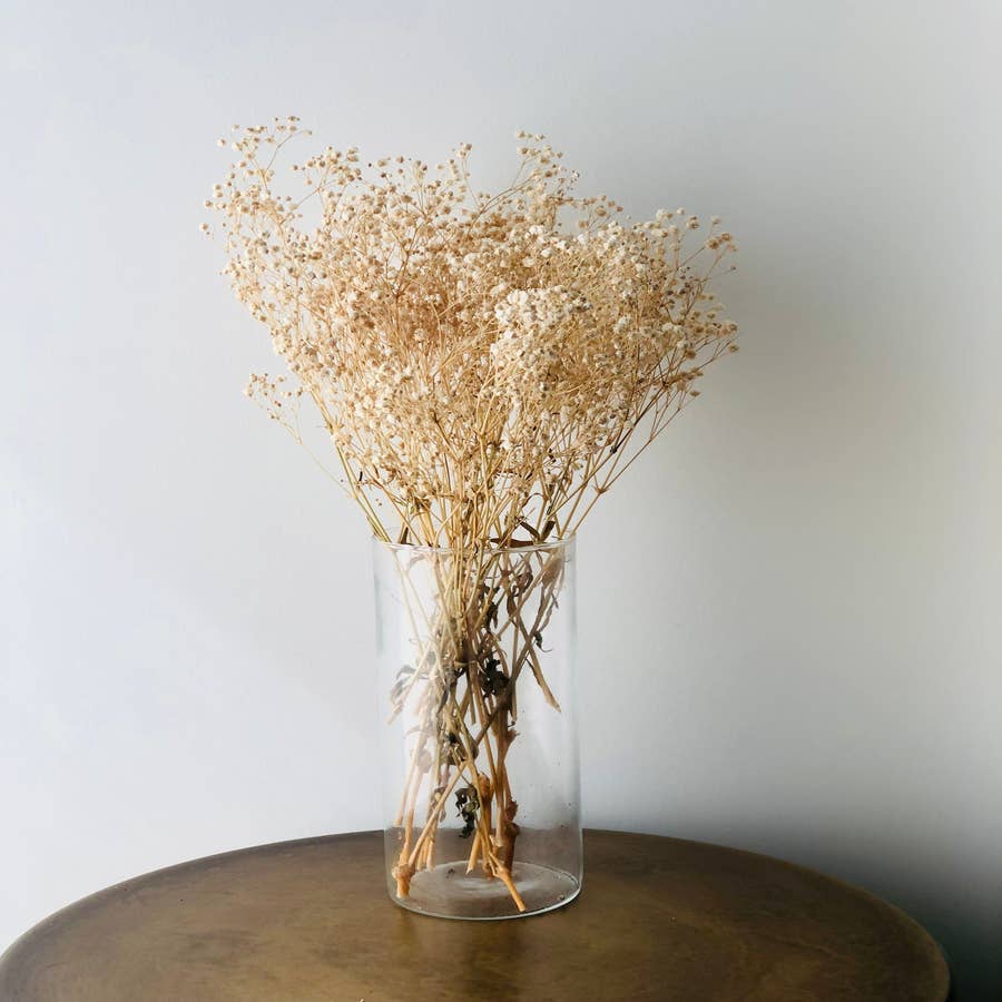 Preserved Baby's Breath, Natural
