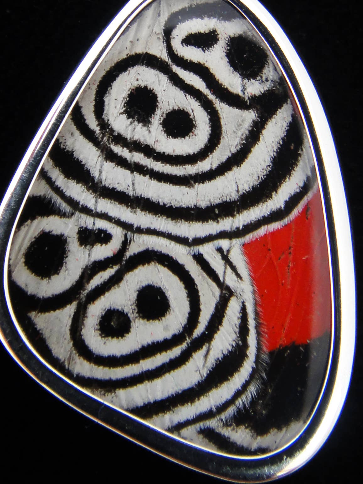 Tika - Wholesale Pendant/Charm Necklace - Shimmerwings "88 Wing" Small Butterfly Pendant2