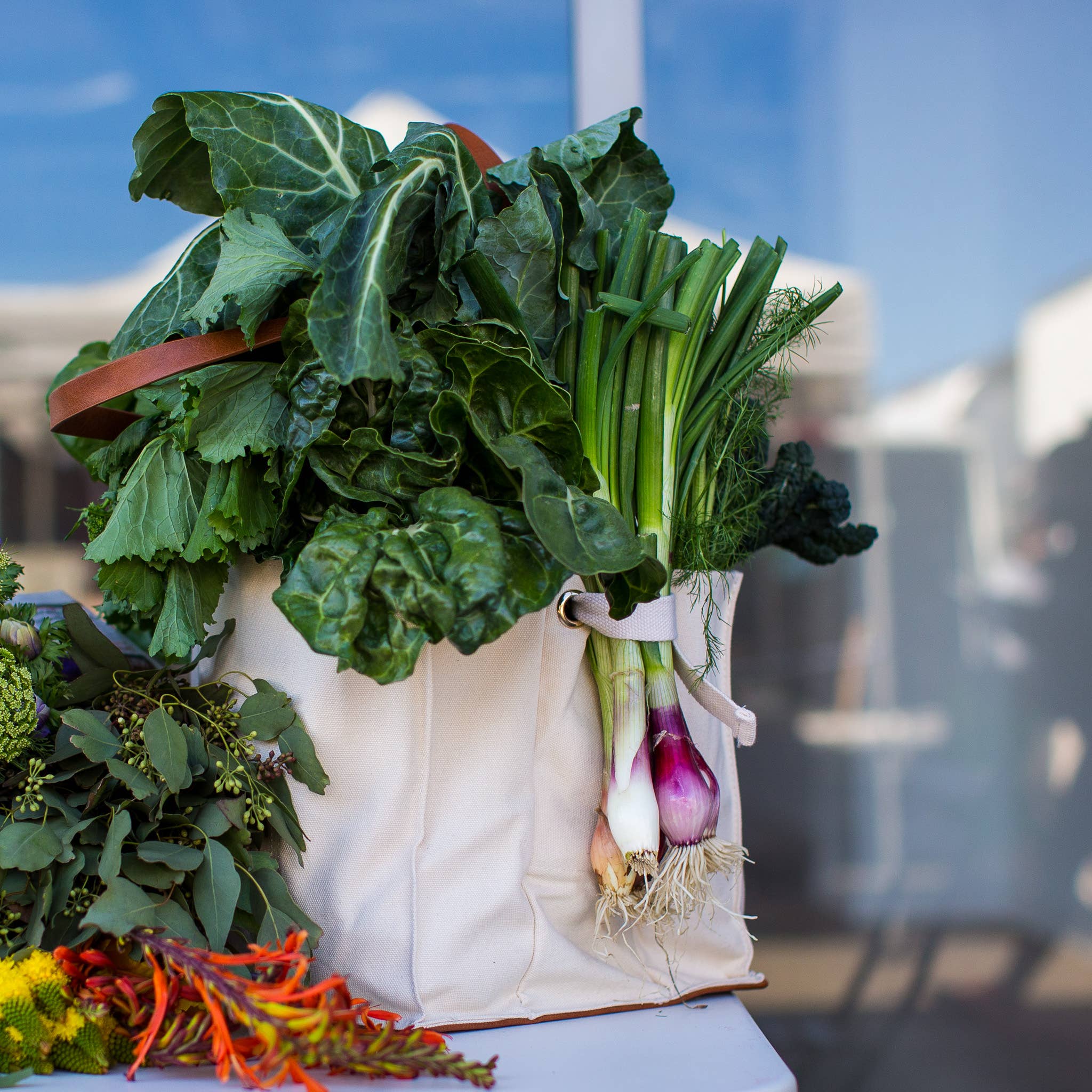 CapaBunga® - Wholesale Grocery/Shopping Bag - Heavy Canvas Tote Bag | Reusable Multi-Pocket Market Tote 8