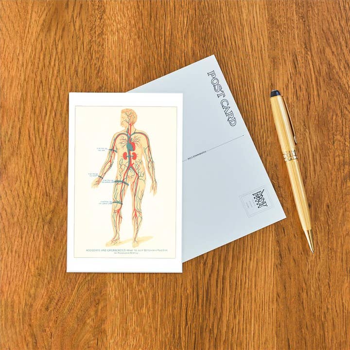 Found Image Press - Vendita all'ingrosso Cartoline - Cartolina AY-34 Dove Mettere il Laccio Emostatico1