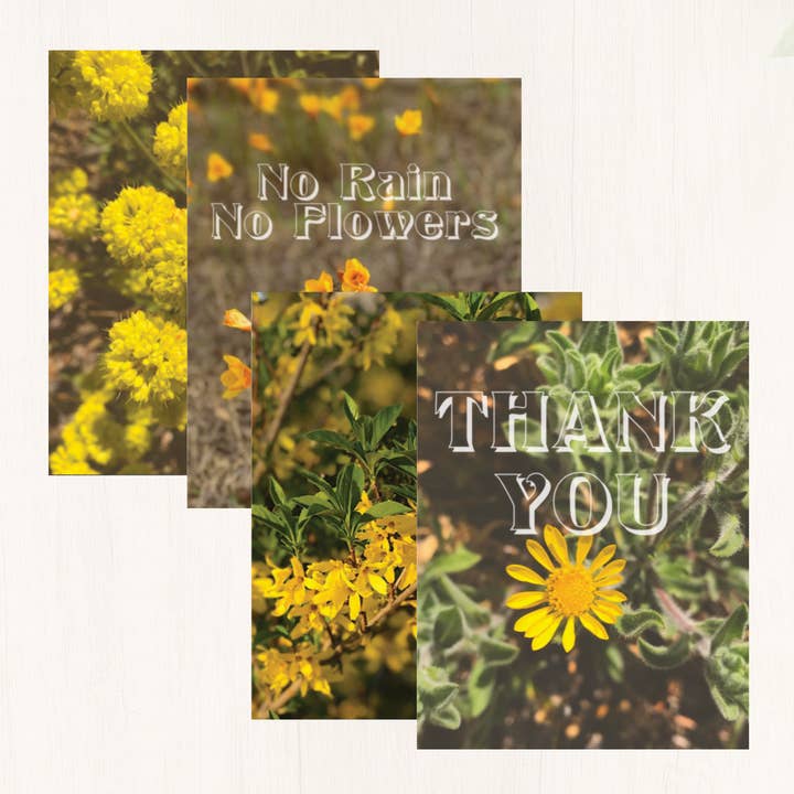 Yellow Flowers Card Collection - 24 pieces for wholesale by Wild and Wandering co.
