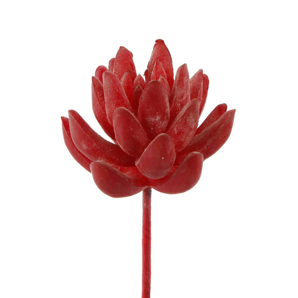 Flora Bunda Inc - Vendita all'ingrosso Fiori finti - Mini pianta grassa artificiale3