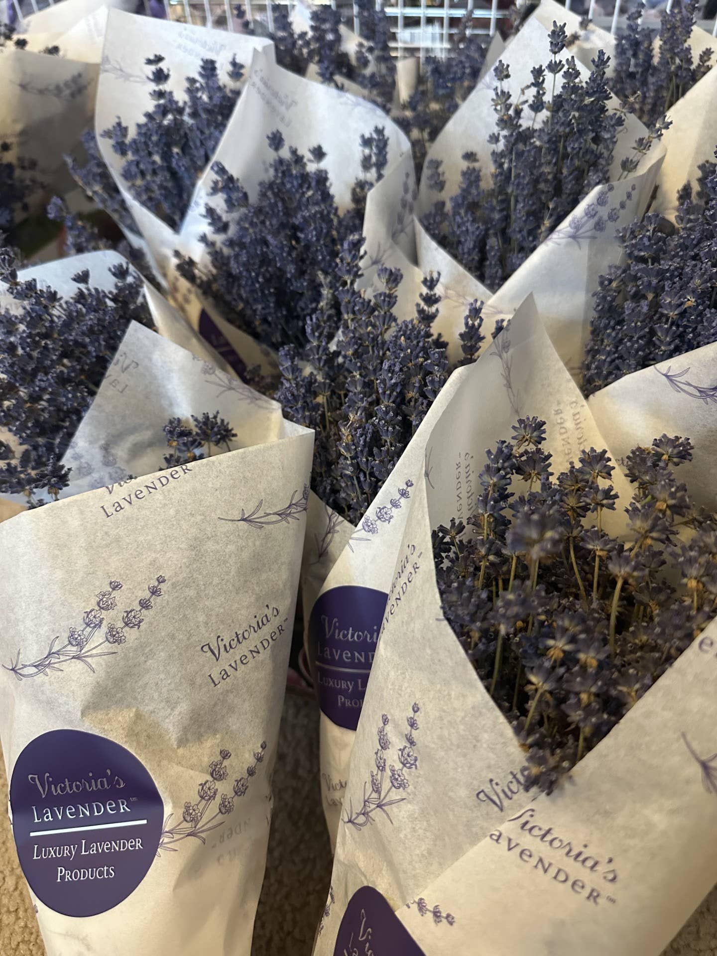 Victoria's Lavender, LLC – Großhandel Getrocknete/gepresste Blumen – Getrocknete Lavendelsträuße - Französisch2