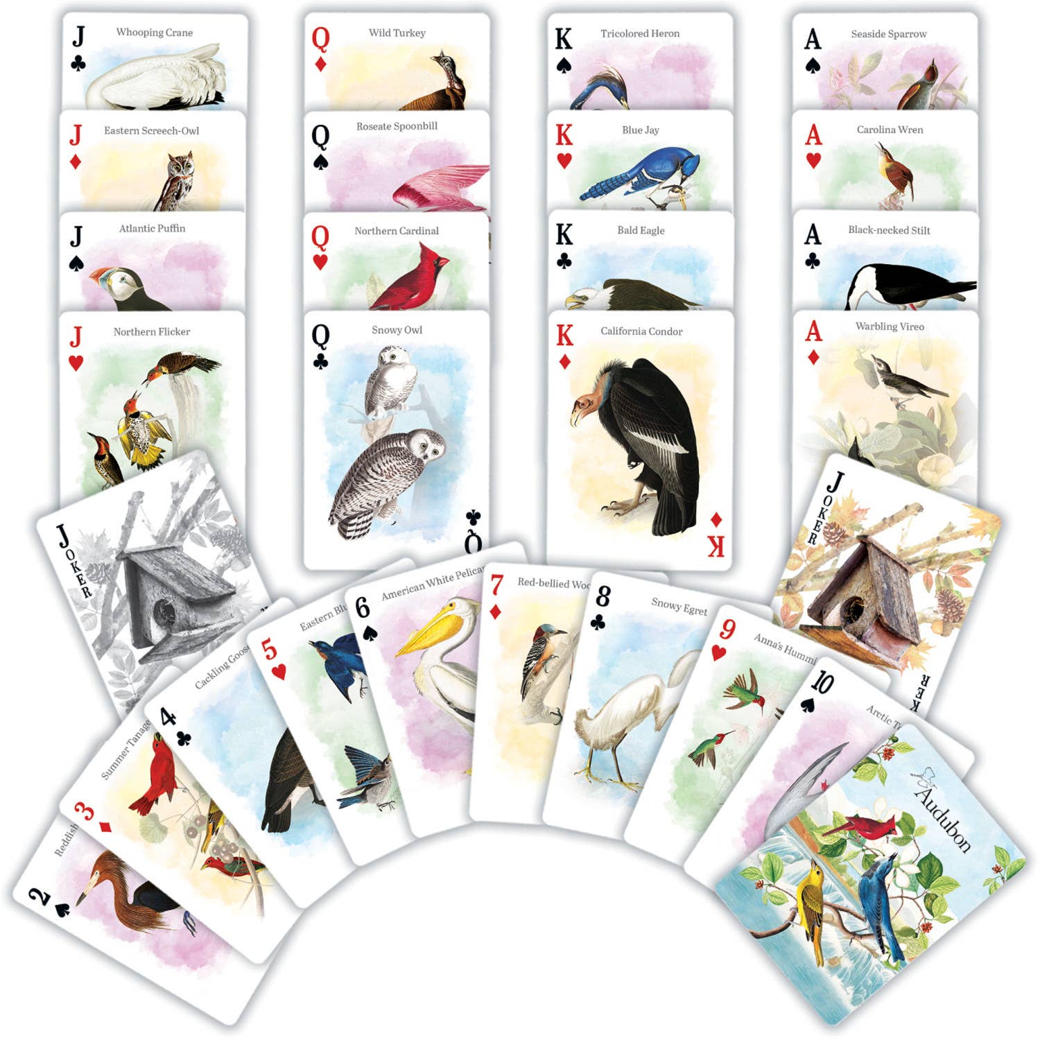 Masterpieces Puzzles - Wholesale Playing Cards - Audubon Playing Cards1