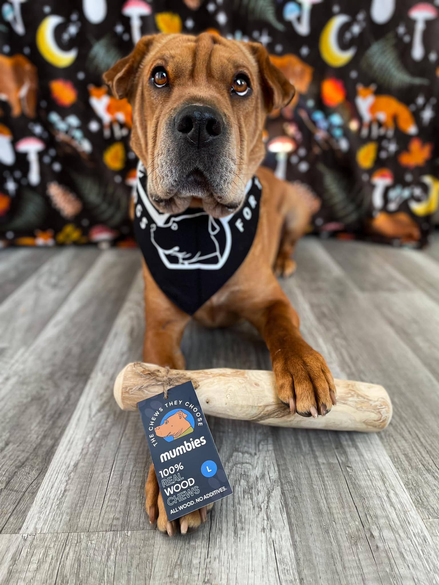 Mumbies - Wholesale Pet Chew Toy - Dog - Original Chew11