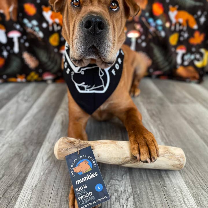 Mumbies - Wholesale Pet Chew Toy - Dog - Original Chew11