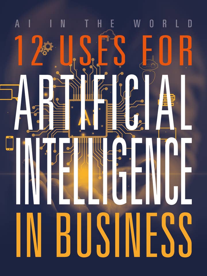 12 utilisations de l'intelligence artificielle dans les affaires pour la vente par Black Rabbit Books