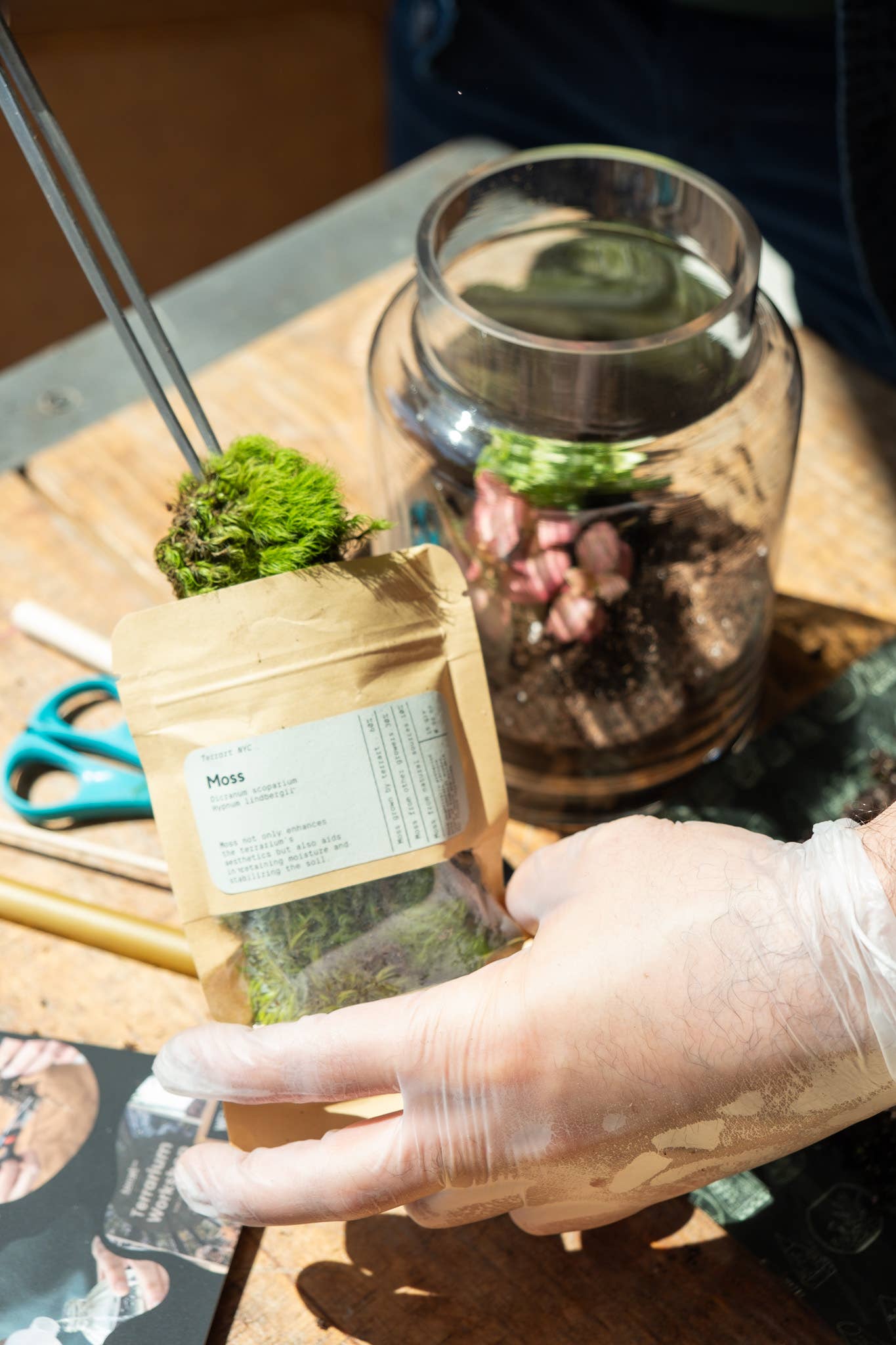 TERRART NYC - Wholesale DIY Craft Kit - DIY Terrarium Kit1