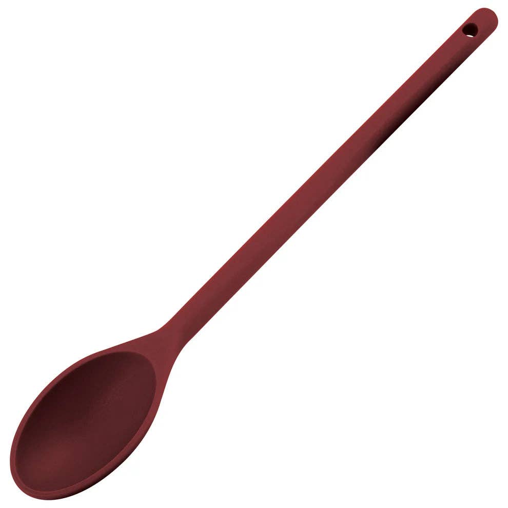 EcoQuality - Wholesale Kitchen Spoon - NS-12B to 15W, 12" Blue to off White Nylon Spoon, EA2