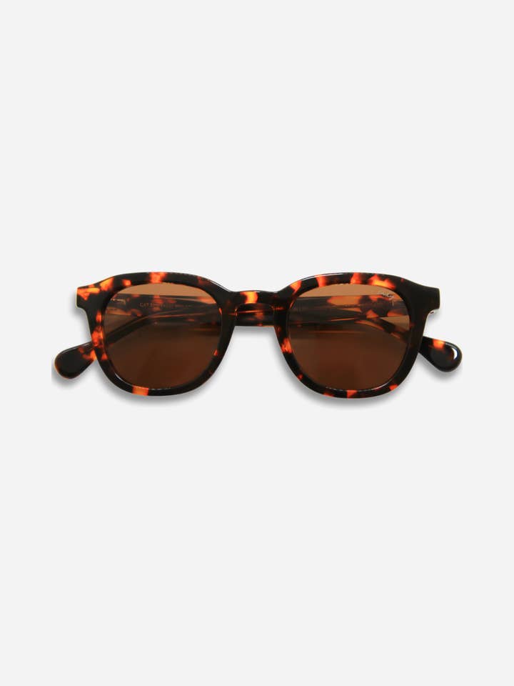 JB Tortoise Polarized Sunglasses – Unisex, UV Protection for wholesale by INDY Sunglasses