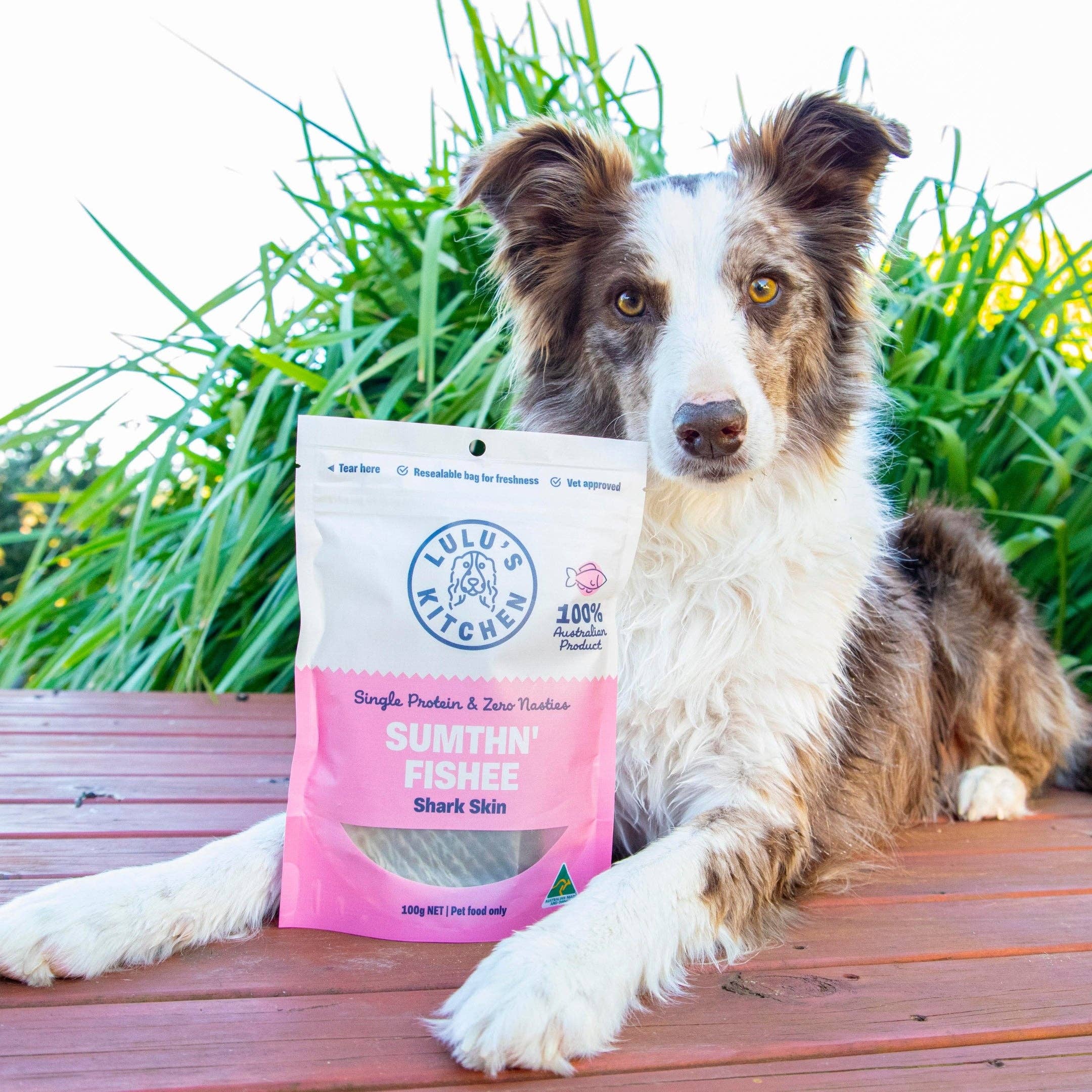 Rover Pet Products - Vente Friandises – chien - Sumthn' Fishee - Peau de requin1