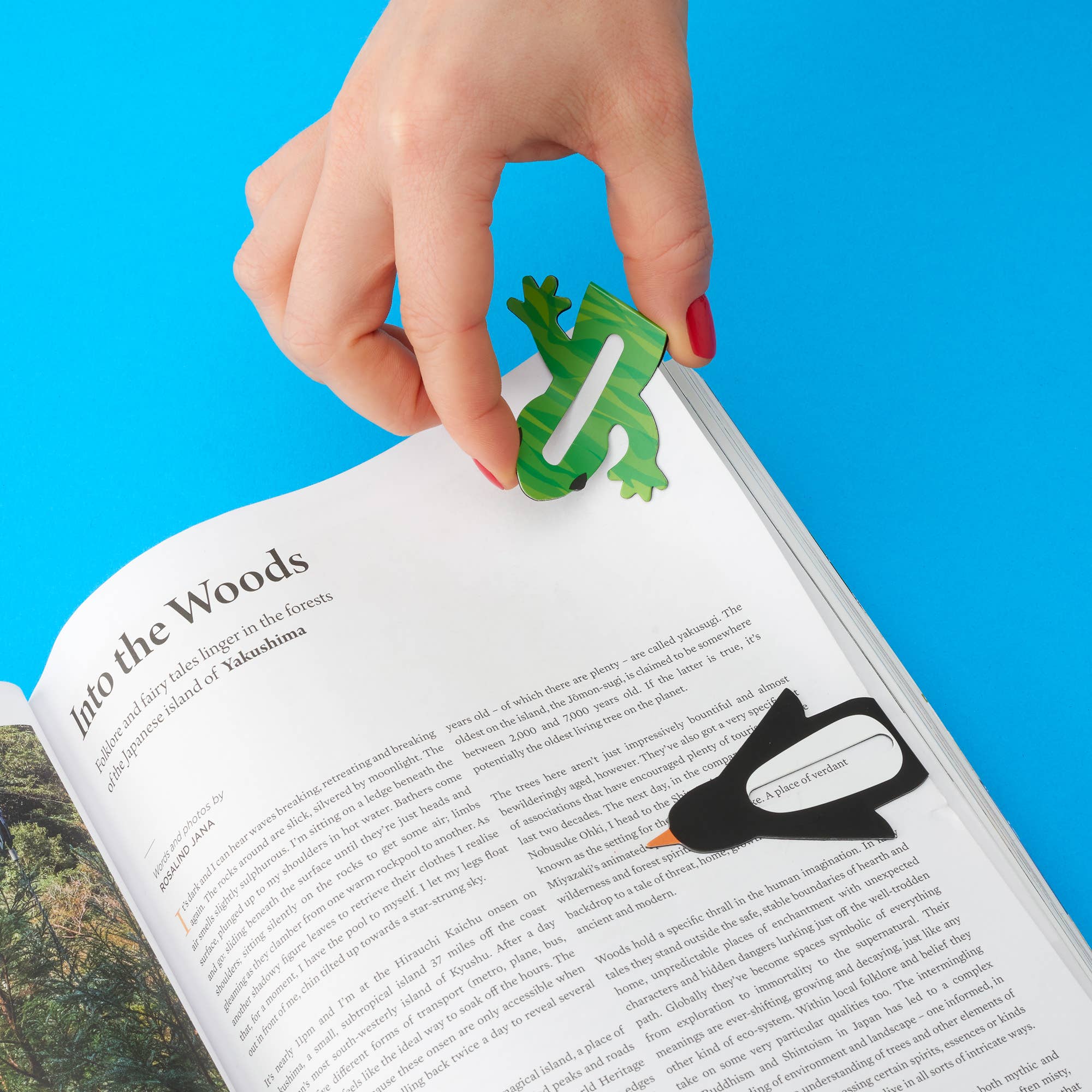 Thinking Gifts Company Ltd – Marcador por atacado – Conjunto de 2 Livros Magnéticos/Marcador de Página22