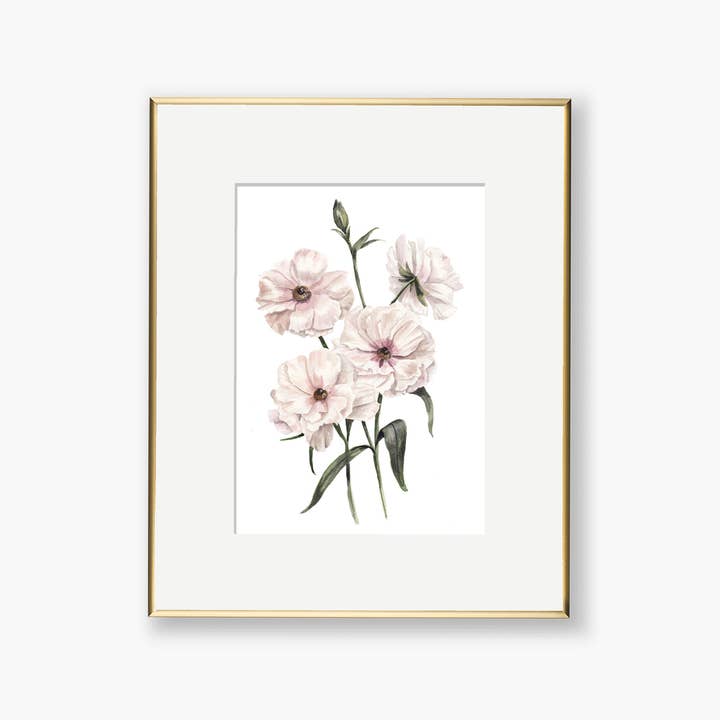 Blush Butterfly Ranunculus - Stampa artistica ad acquerello per la vendita all'ingrosso da parte di Paper Betty