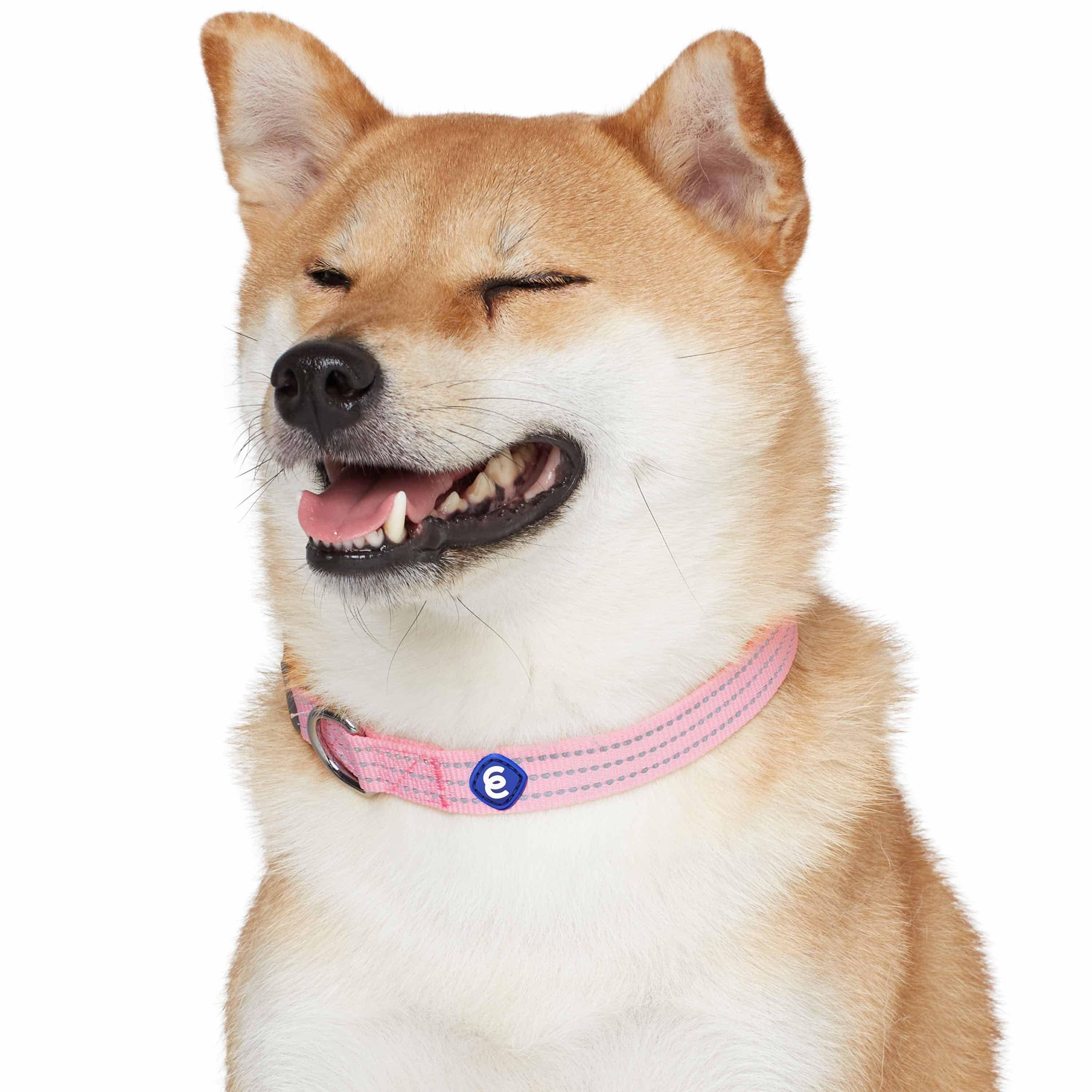 Blueberry Pet - Venta al por mayor Collar - Perros - Collar reflectante para perros Better Basic en 8 colores10