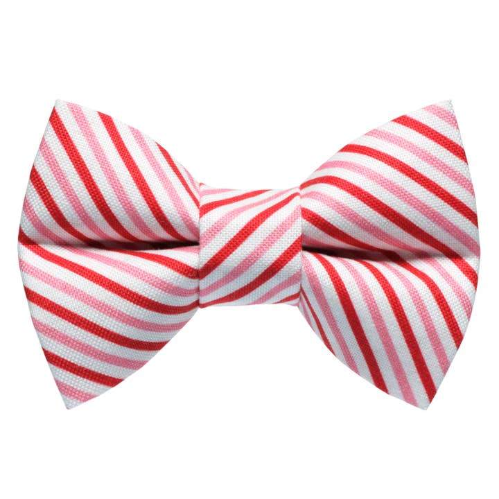 The Made You Look - Nœud papillon pour chat et chien pour la vente par Sweet Pickles Designs