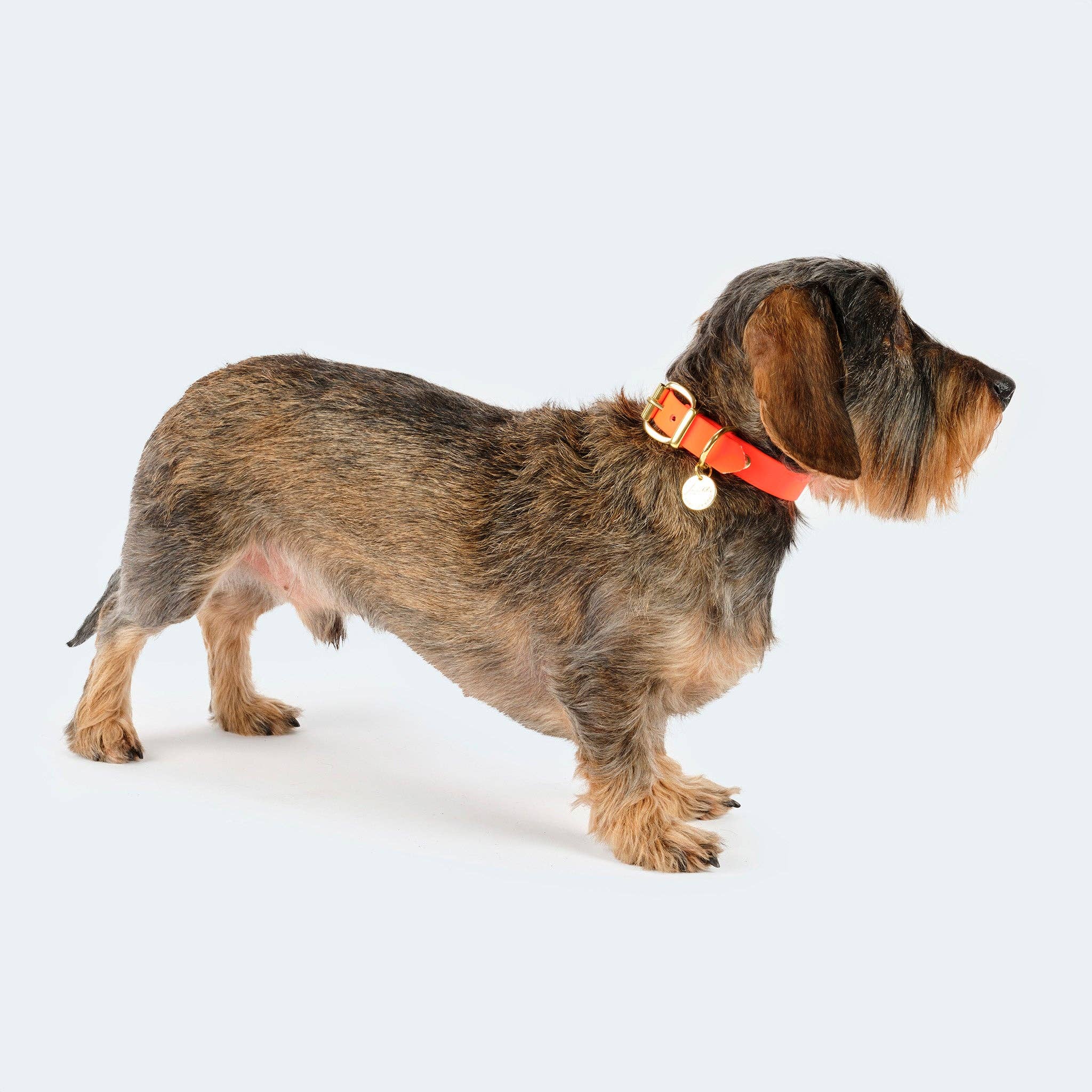 ​​Leopold's Finest for dogs - Wholesale Pet Collar - Dog - Dog Collar Adventure5