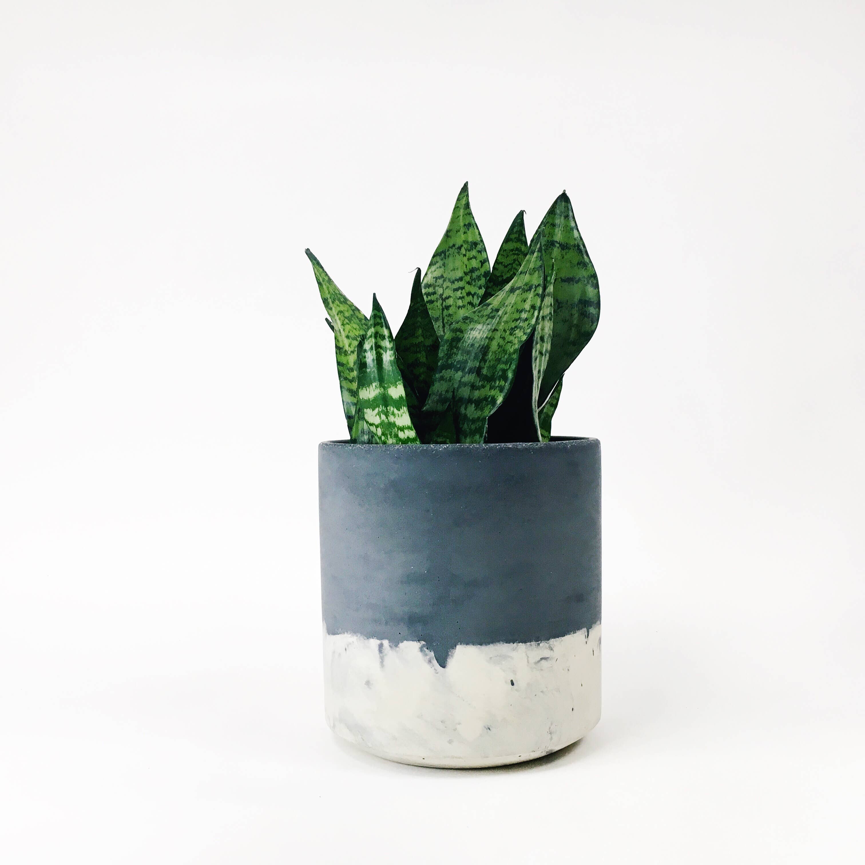 Settlewell - Wholesale Plant Pot - 9" Straight Sided Concrete Pot / 14 Colors5