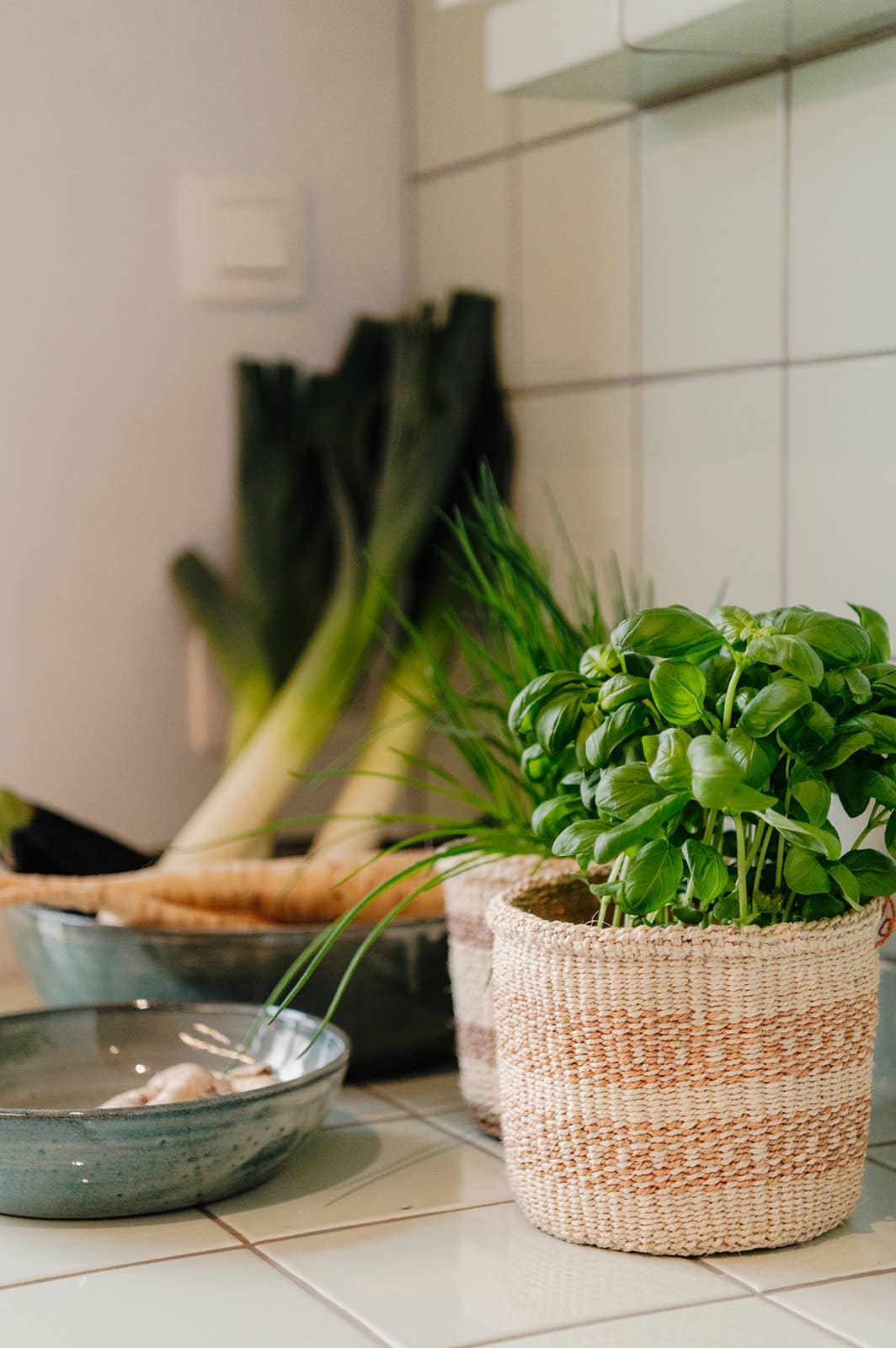 Crafts by Solid - Wholesale Basket - Handwoven Sisal Baskets - Natural Hues - XXS - XXL66