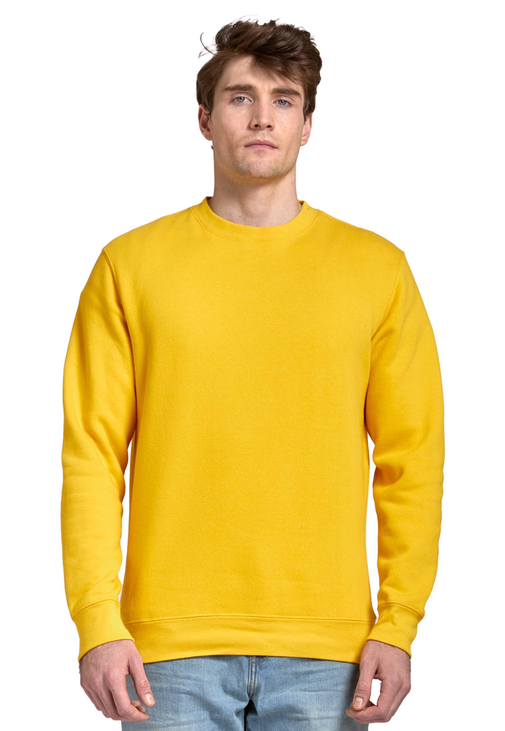 Lane Seven Apparel - Wholesale Sweatshirt - Unisex - Premium Crewneck Sweatshirt - For Men & Women93