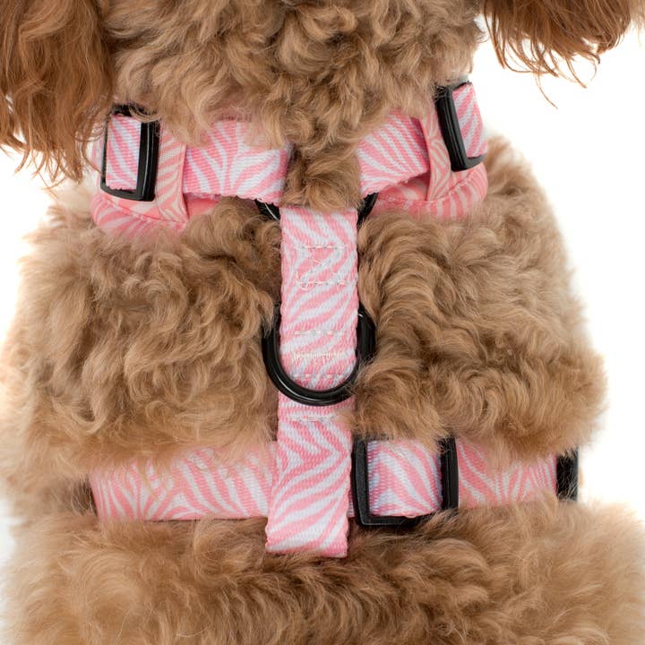 Pablo & Co. Boutique - Wholesale Pet Harness - Dog - Pink Zebra: ADJUSTABLE DOG HARNESS