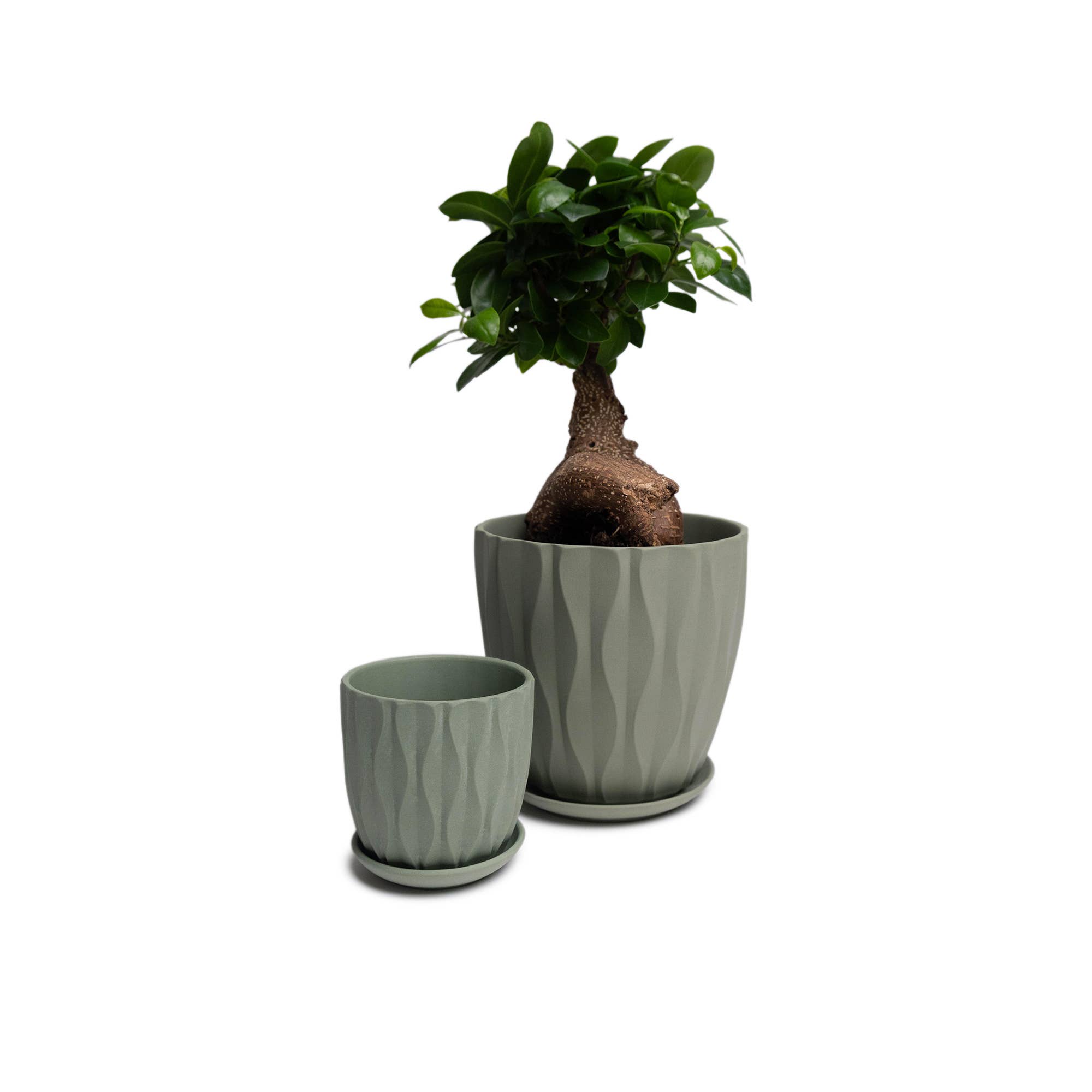 Chive - Wholesale Plant Pot - Handmade Ceramic Virago Pots | Artisan Plant Planters34