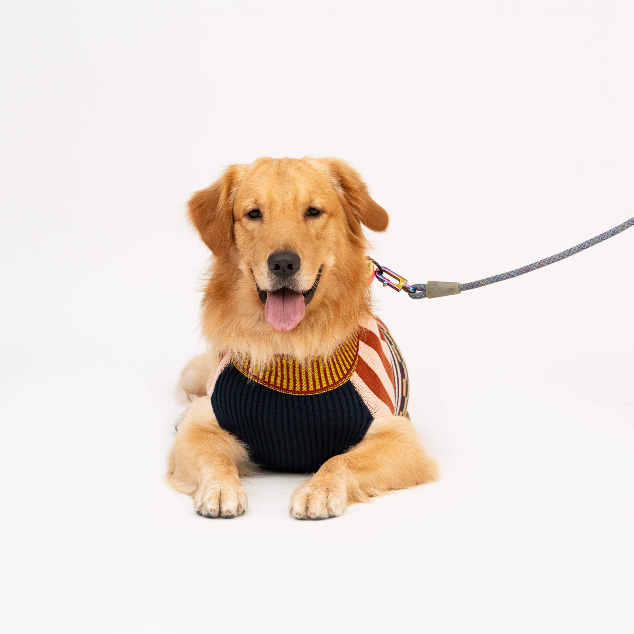 VERLOOP | knits - Vente Pull – chien - Pull pour chien à motifs variés11