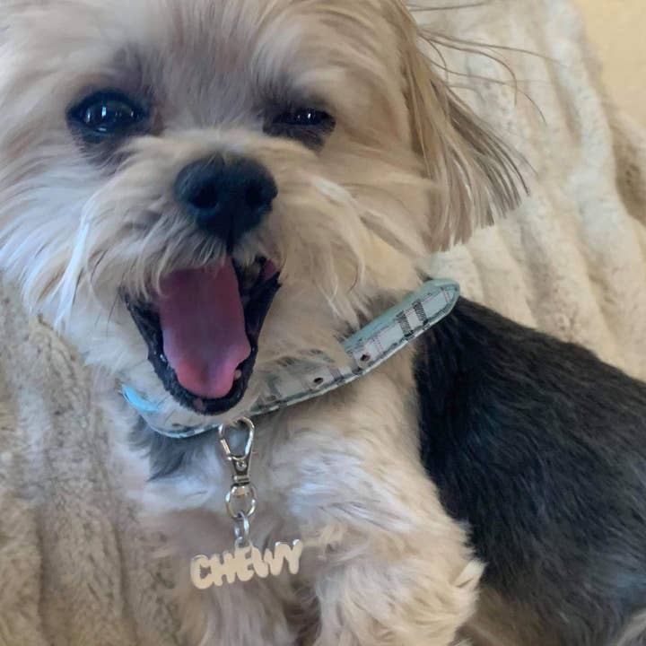 Tres Carmela - Wholesale Pet collar charm – Cat/dog - Personalized Dog or Cat Tag Pendant Sterling4