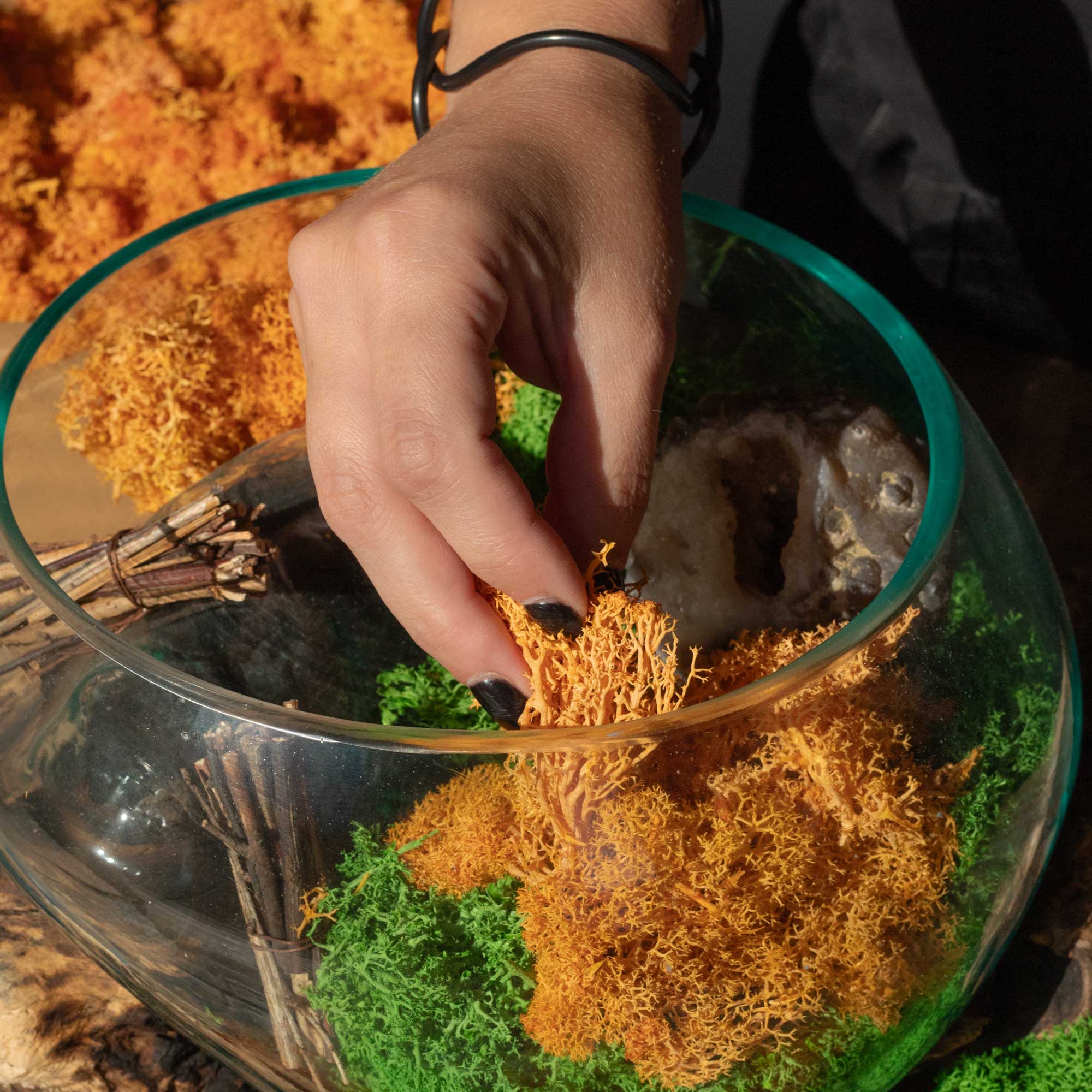 AW Artisan – wholesale Levande växt – Renlav för dekoration - ljusgrön - (ca 500 g)3