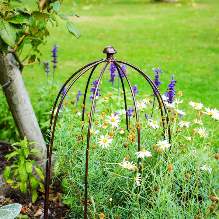 Ivyline - Wholesale Beplantingsnet/afdekking/hoes - Buitengebruik plantsteun H60 cm B36 cm7