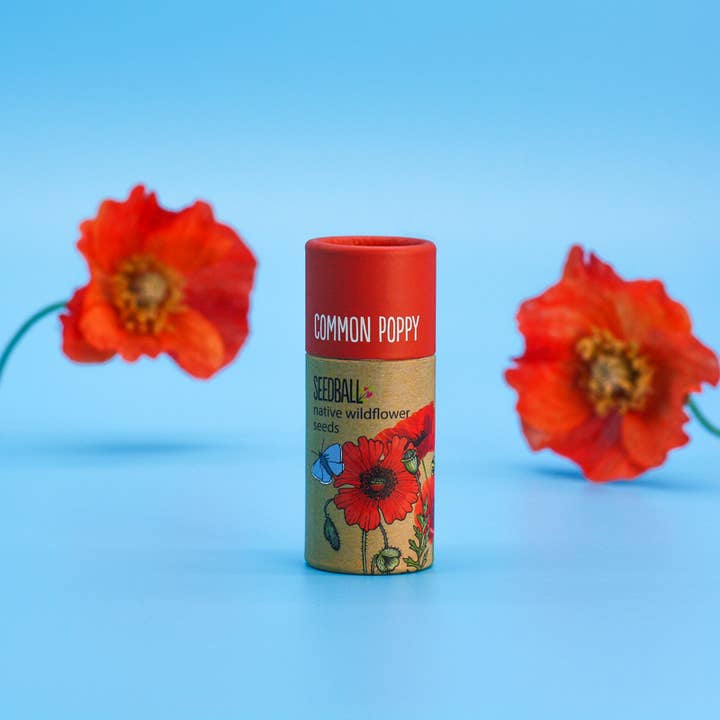 Seedball – wholesale Plant seeds – Wildflower Seedball Tube - Poppy1