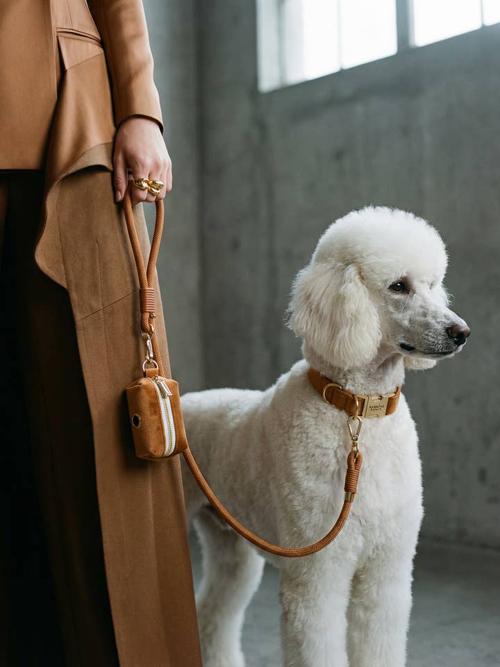 Velvet Walk Set - Caramel for wholesale by Barking Fancy