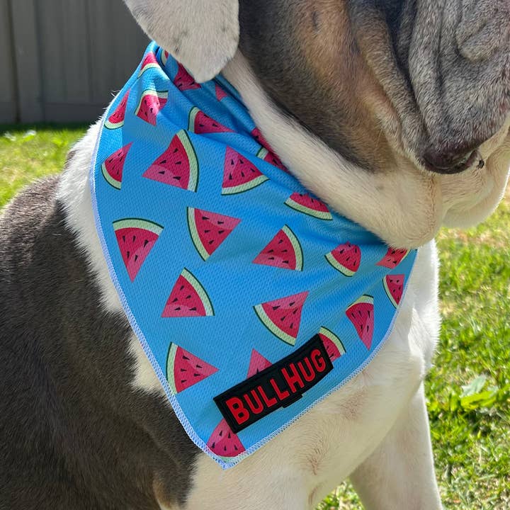 BullHug Bandana for wholesale by Bullhug