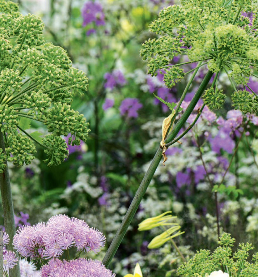 Callwey GmbH – Livro sobre casa e jardim por atacado – Plantas perenes no jardim.4