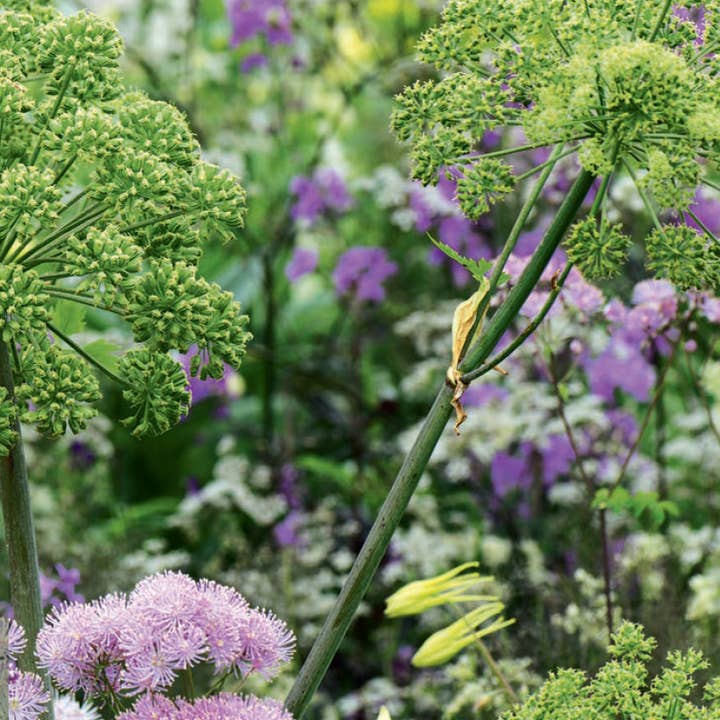 Callwey GmbH - Wholesale Home & Garden - Perennials in the Garden. Design Ideas for Ever-Blooming Beds4