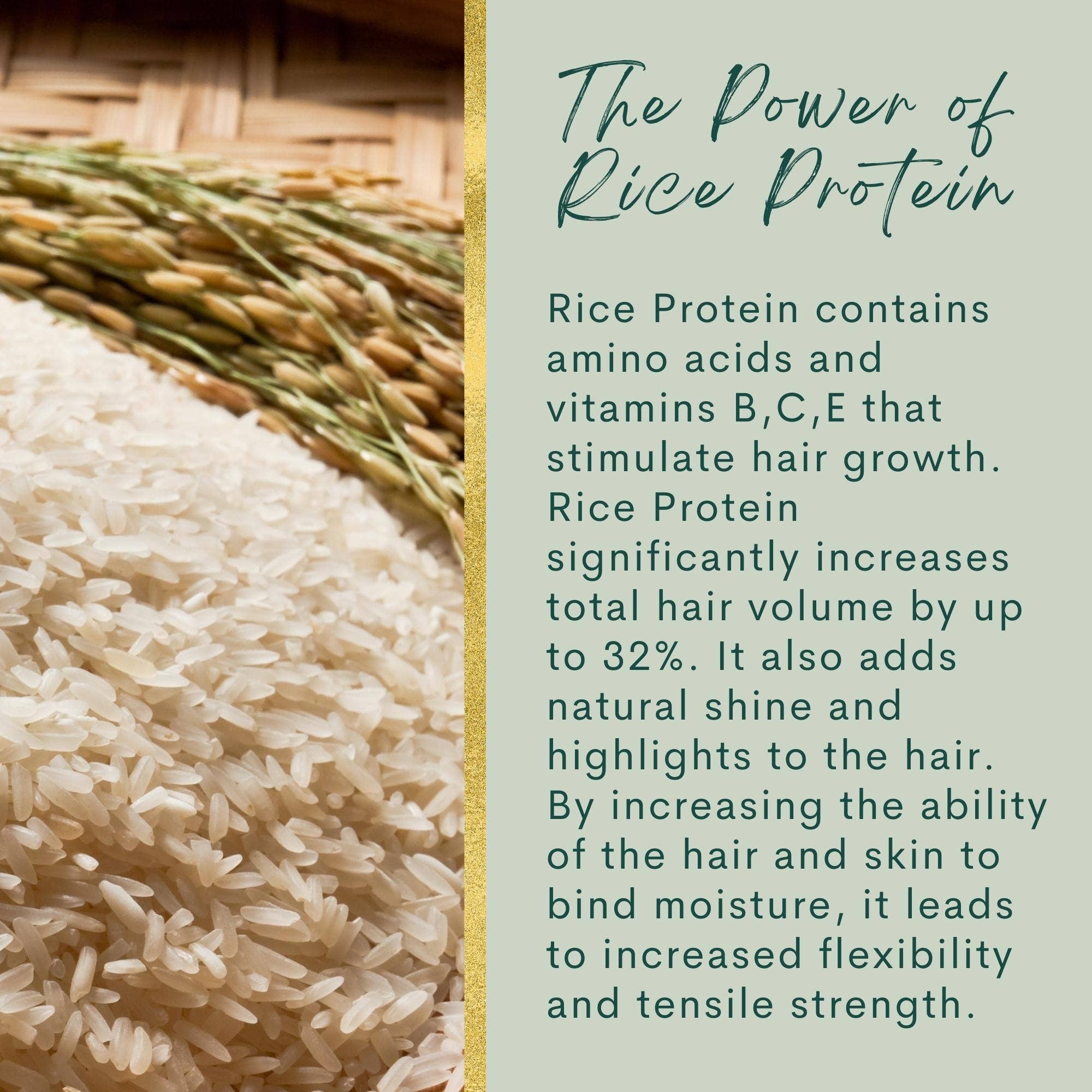 The Sacred Essence – wholesale Scalp/hair treatment – FIFTH DIMENSION RICE WATER - Hair Strength Superpower9