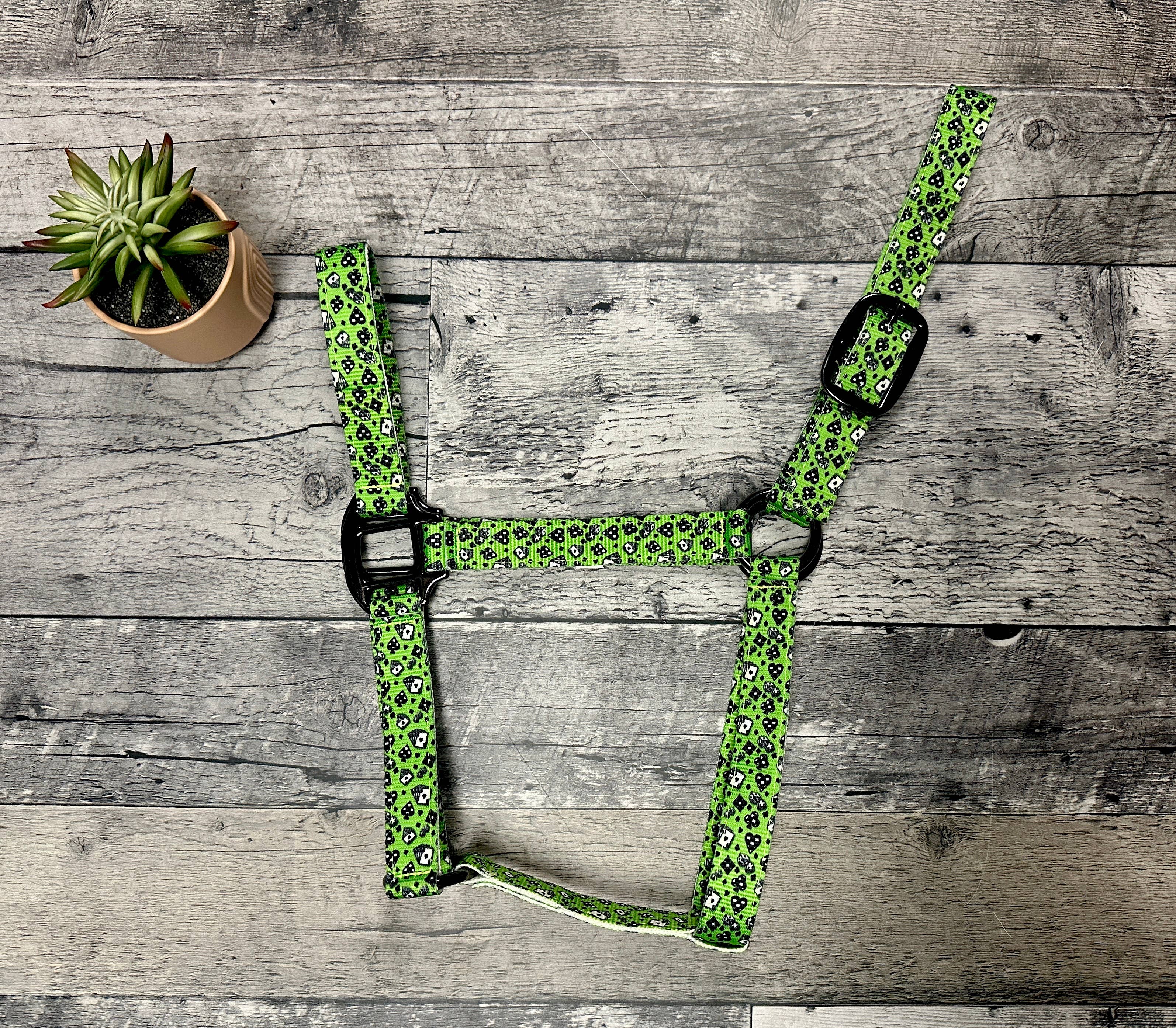 Schulz Equine - Wholesale Horseback Riding Gear - Nylon Halter - Horse Size28