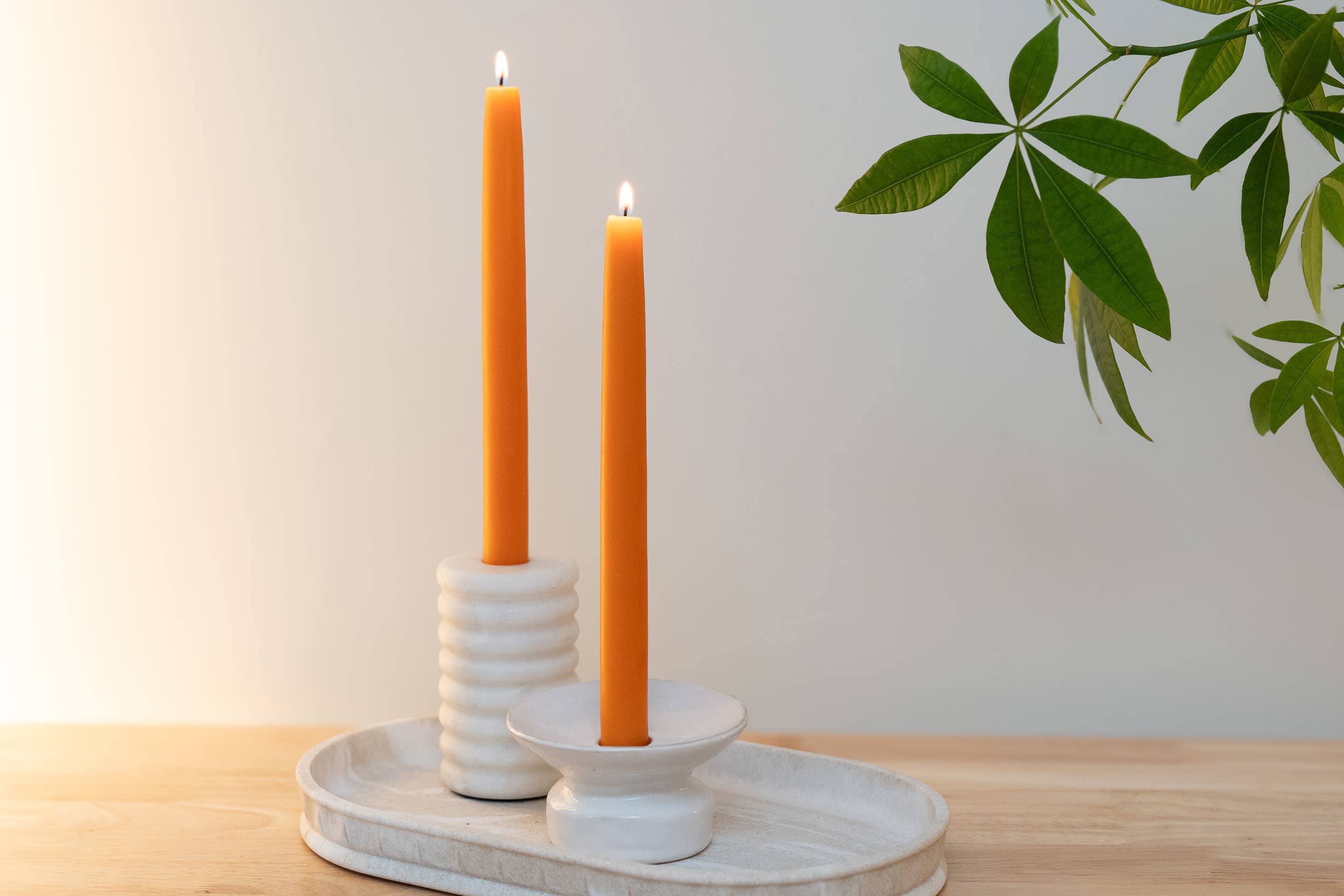 Sunbeam Candles, Inc – Vela/castiçal cónico por atacado – Velas Cónicas de Cera de Abelha de 10" - Pares Envolvidos (caixa de 6 unidades)14