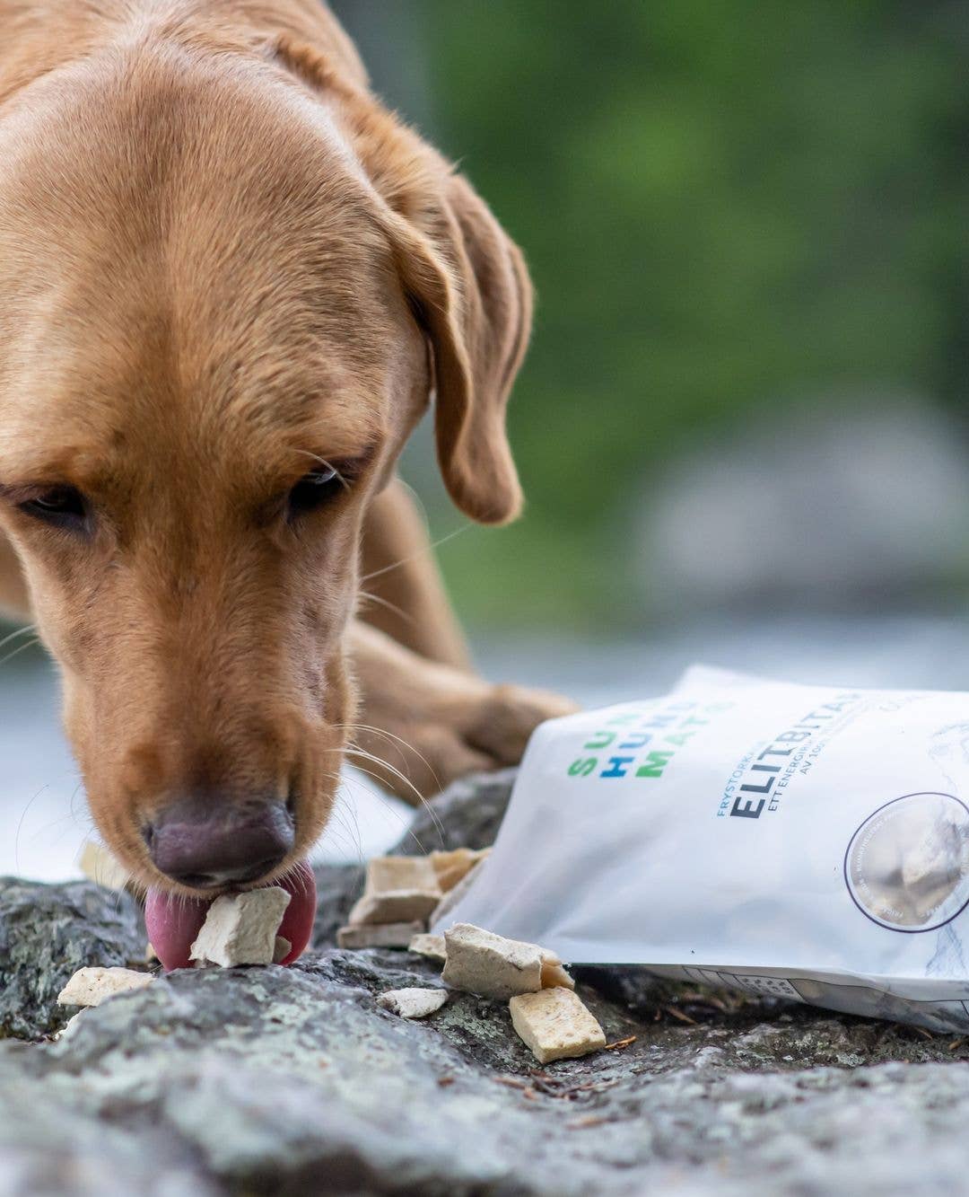 Sund Hundmat - Wholesale Pet Treats - Dog - Freeze-dried Elite pieces 60g5