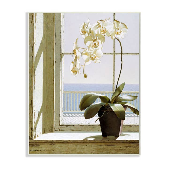 Stupell Industries - Wholesale Painting/Drawing - White Orchid in Window Realistic Coastal Painting